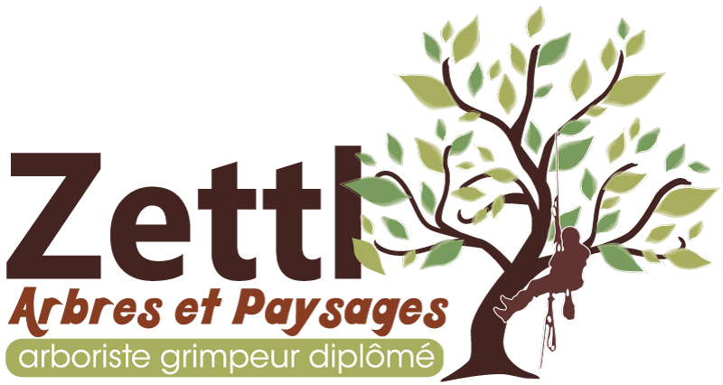 Arbres et Paysages Zettl
