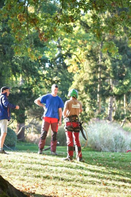Entretien d&rsquo;espaces verts autour de Thann et Masevaux Wittenheim 0