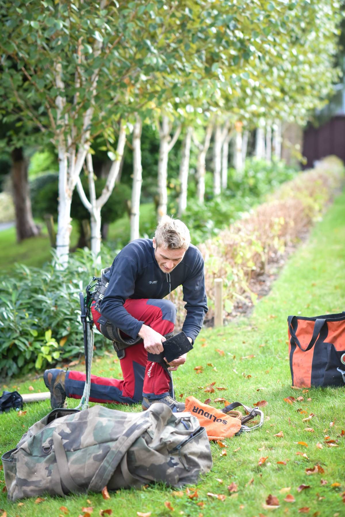 &Eacute;lagage, abattage et entretien de vos espaces verts : profitez de votre jardin ! Audincourt