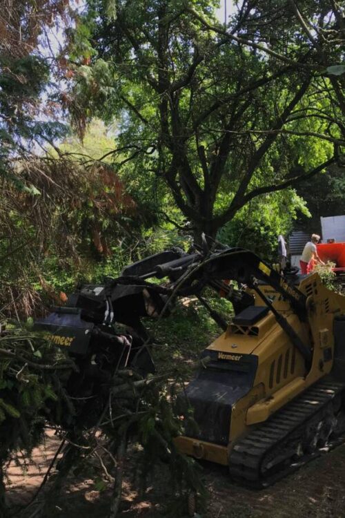 &Eacute;lagage d’un arbre &agrave; Cernay Illzach 3